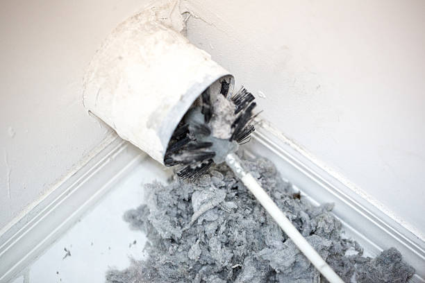 Best Professional Duct Cleaning Services  in Sea Ranch, CA